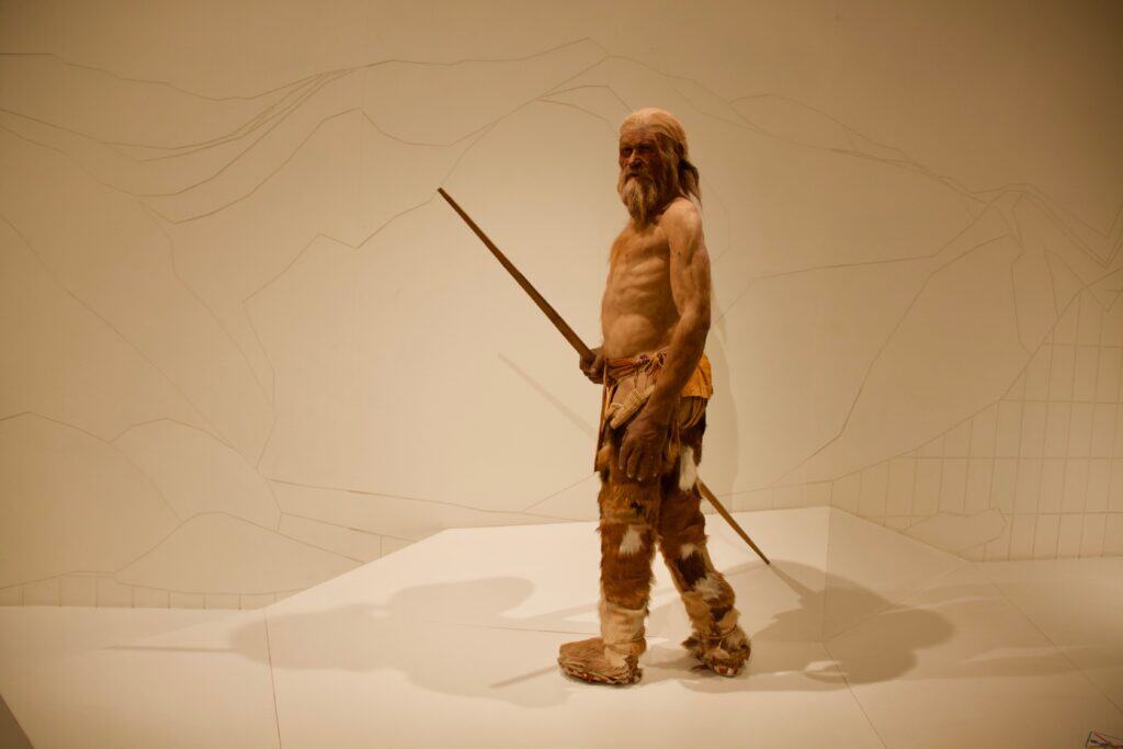 visitaguidatamuseo2